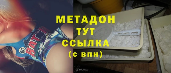 прущие грибы Алексеевка