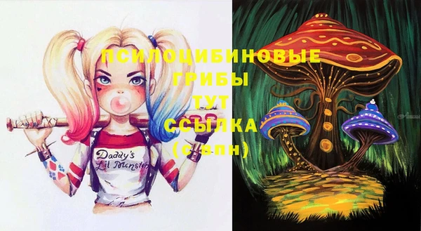 прущие грибы Алексеевка