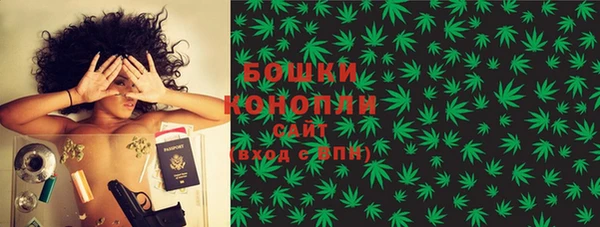 прущие грибы Алексеевка