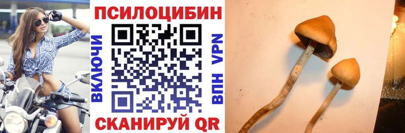 Псилоцибиновые грибы GOLDEN TEACHER  закладка  Уссурийск 